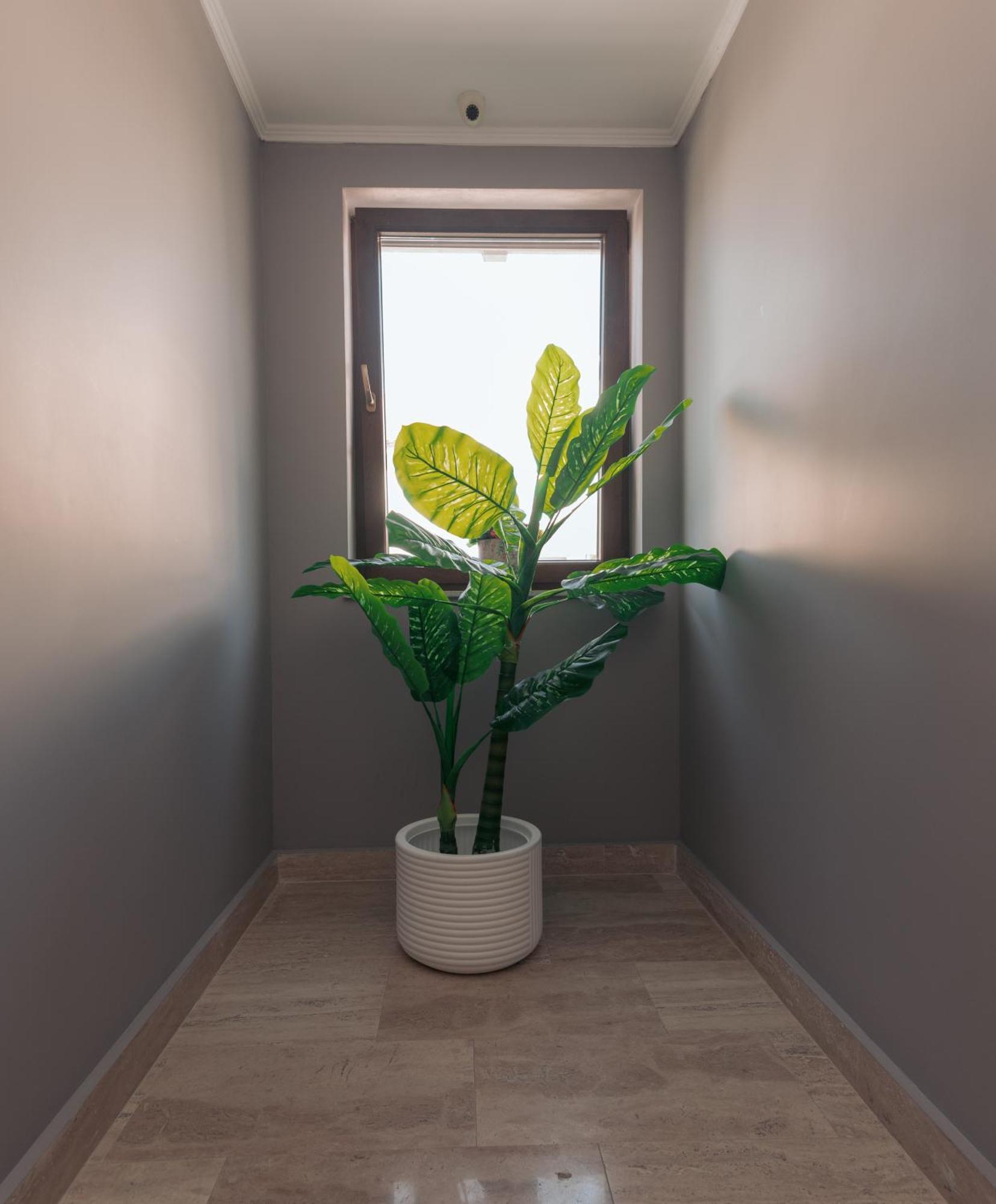 Habitación en casa particular Lara Boutique